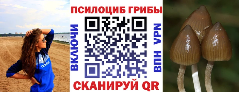 Псилоцибиновые грибы Cubensis  даркнет сайт  blacksprut маркетплейс  Орёл 